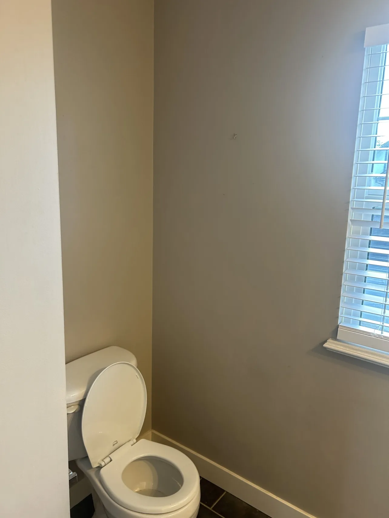 Powder room before: toilet corner
